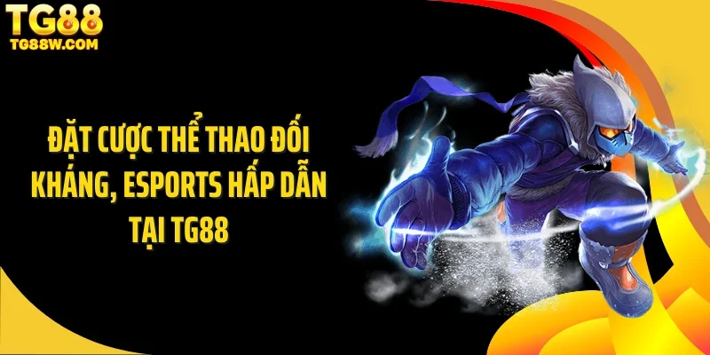 Đặt cược thể thao đối kháng, eSports hấp dẫn tại Tg88
