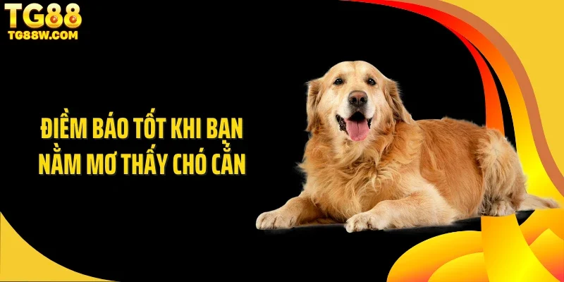 Điềm báo tốt khi bạn nằm mơ thấy chó cắn