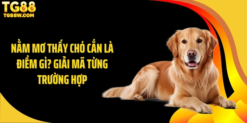 Nằm Mơ Thấy Chó Cắn Là Điềm Gì? Giải Mã Từng Trường Hợp