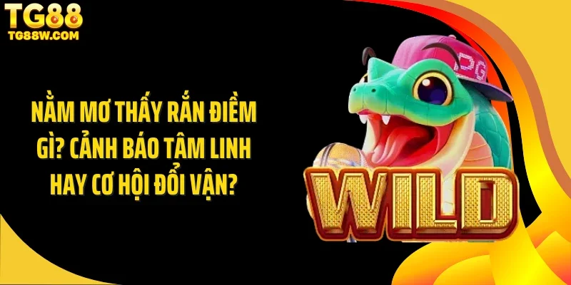 Nằm Mơ Thấy Rắn Điềm Gì? Cảnh Báo Tâm Linh Hay Cơ Hội Đổi Vận?