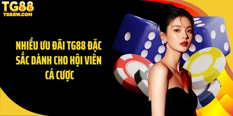 Nhiều ưu đãi Tg88 đặc sắc dành cho hội viên cá cược