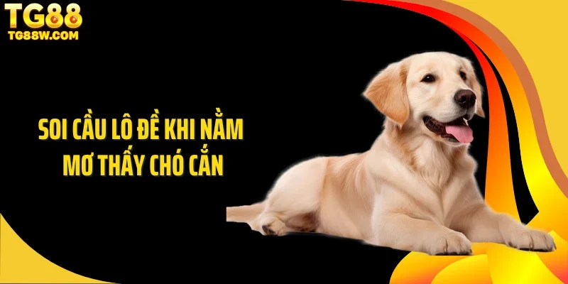 Soi cầu lô đề khi nằm mơ thấy chó cắn